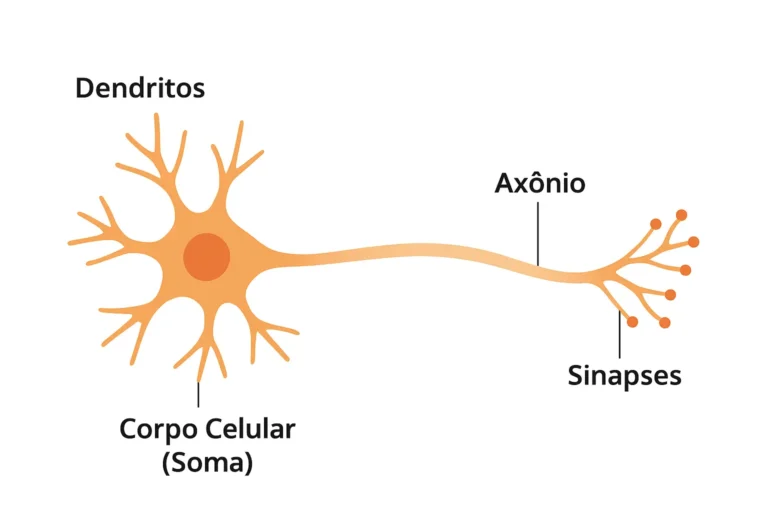 Estrutura de um Neurônio