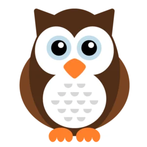 Ilustração em estilo flat de uma coruja marrom de frente, com olhos grandes e azuis, bico e patas laranjas e peito branco com detalhes em cinza.